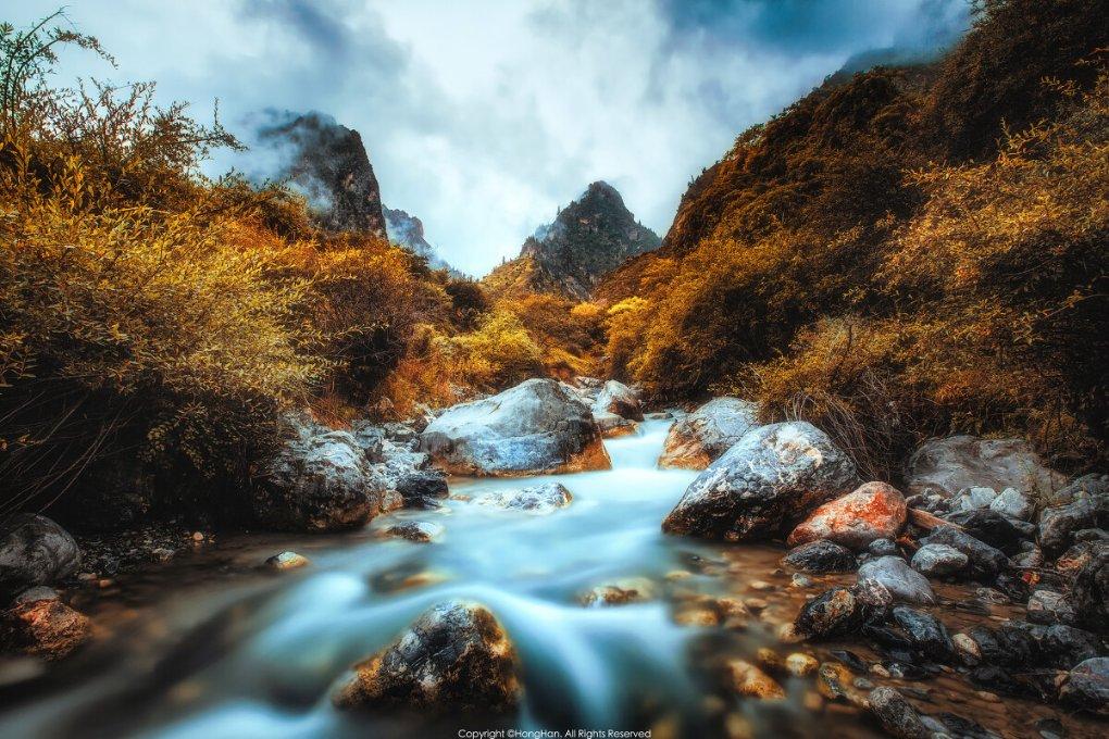 虫虫助手下载